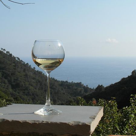 Agriturismo Costa Di Campo Vernazza Zewnętrze zdjęcie
