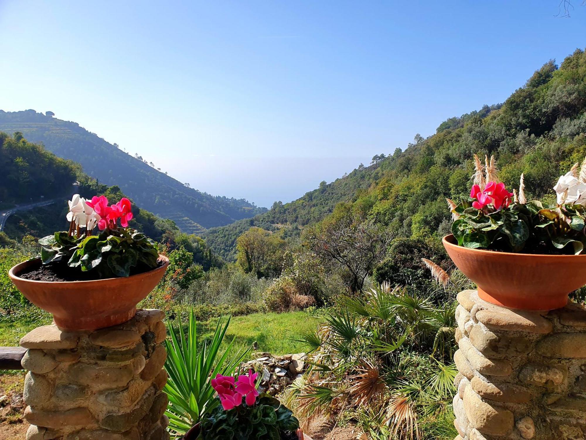 Agriturismo Costa Di Campo Vernazza Zewnętrze zdjęcie