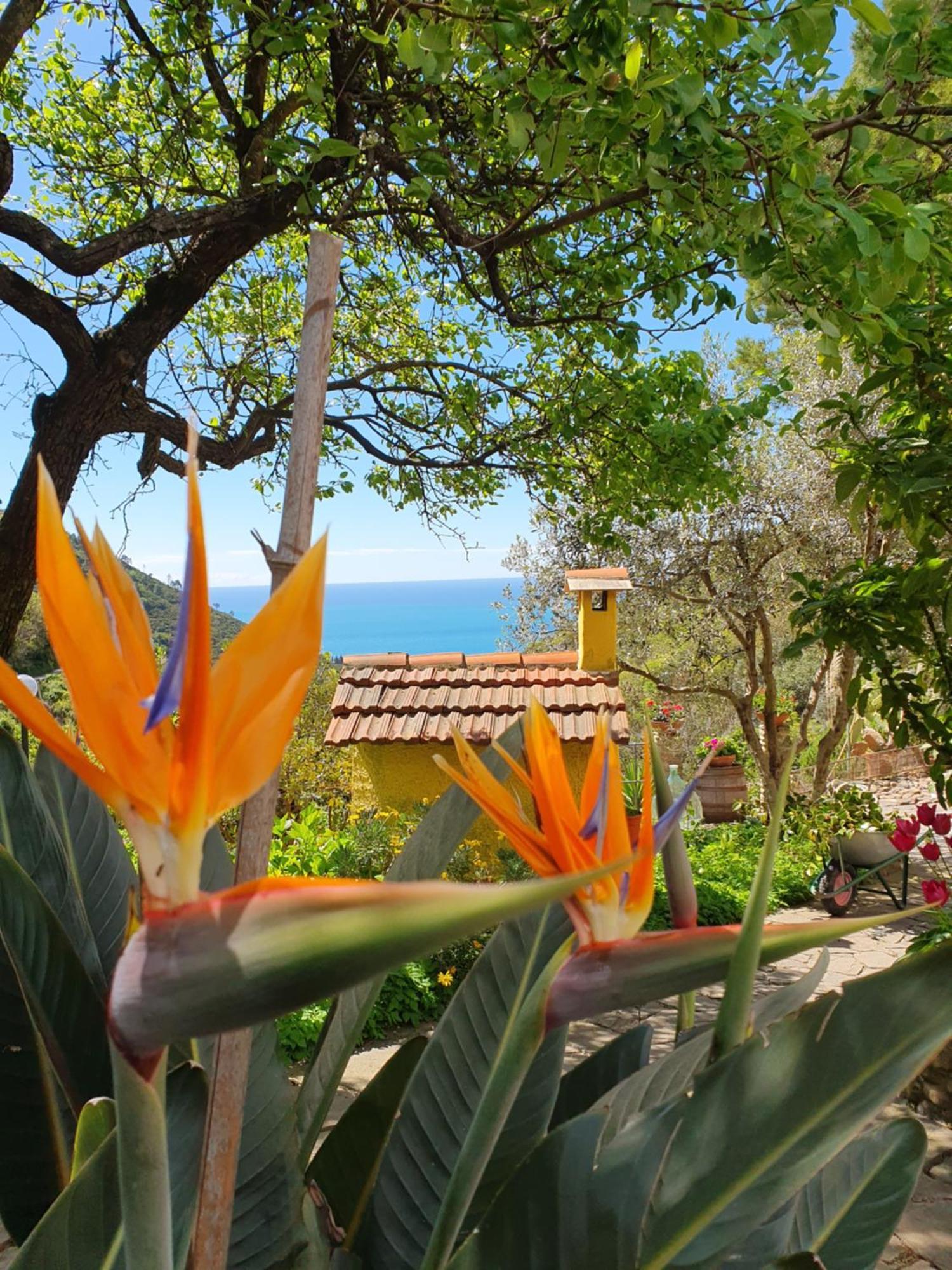 Agriturismo Costa Di Campo Vernazza Zewnętrze zdjęcie