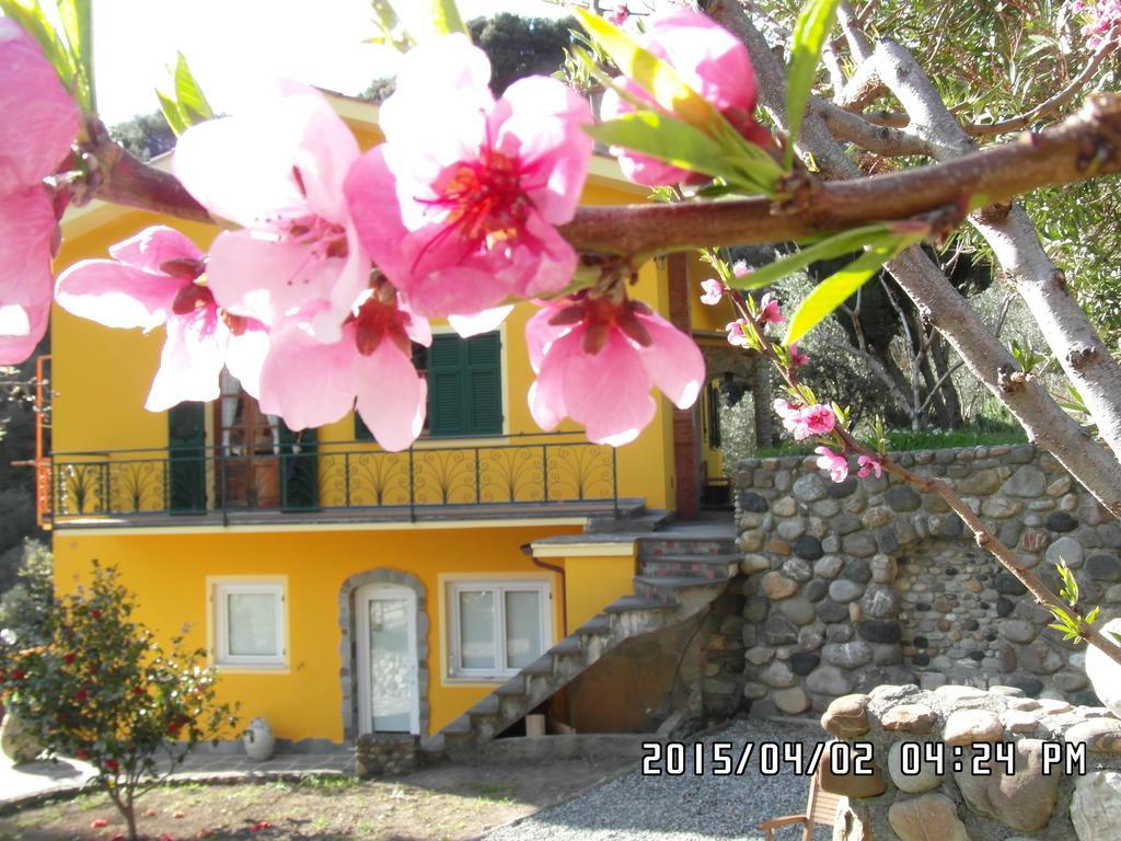 Agriturismo Costa Di Campo Vernazza Zewnętrze zdjęcie
