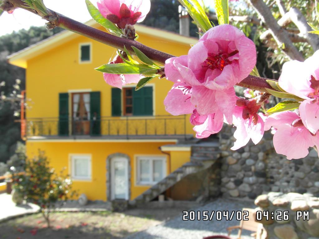 Agriturismo Costa Di Campo Vernazza Zewnętrze zdjęcie