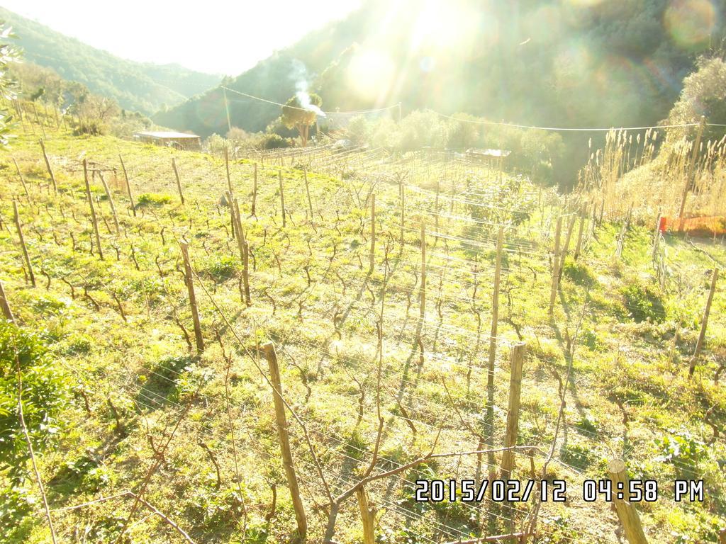 Agriturismo Costa Di Campo Vernazza Zewnętrze zdjęcie