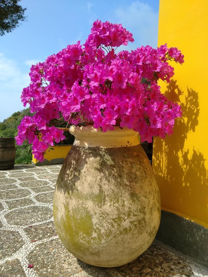 Agriturismo Costa Di Campo Vernazza Zewnętrze zdjęcie