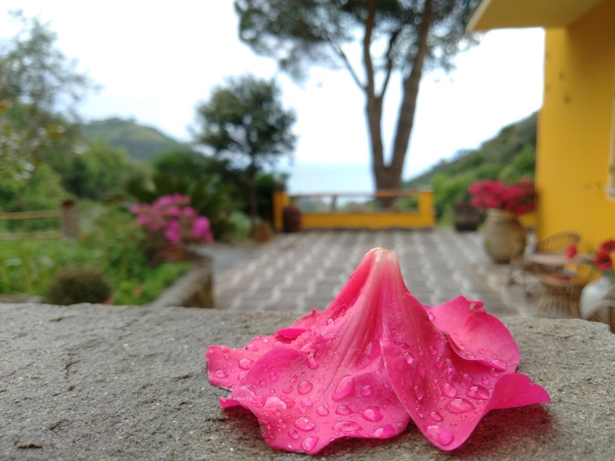 Agriturismo Costa Di Campo Vernazza Zewnętrze zdjęcie