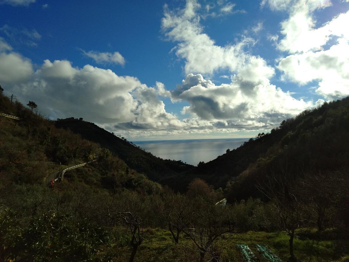 Agriturismo Costa Di Campo Vernazza Zewnętrze zdjęcie