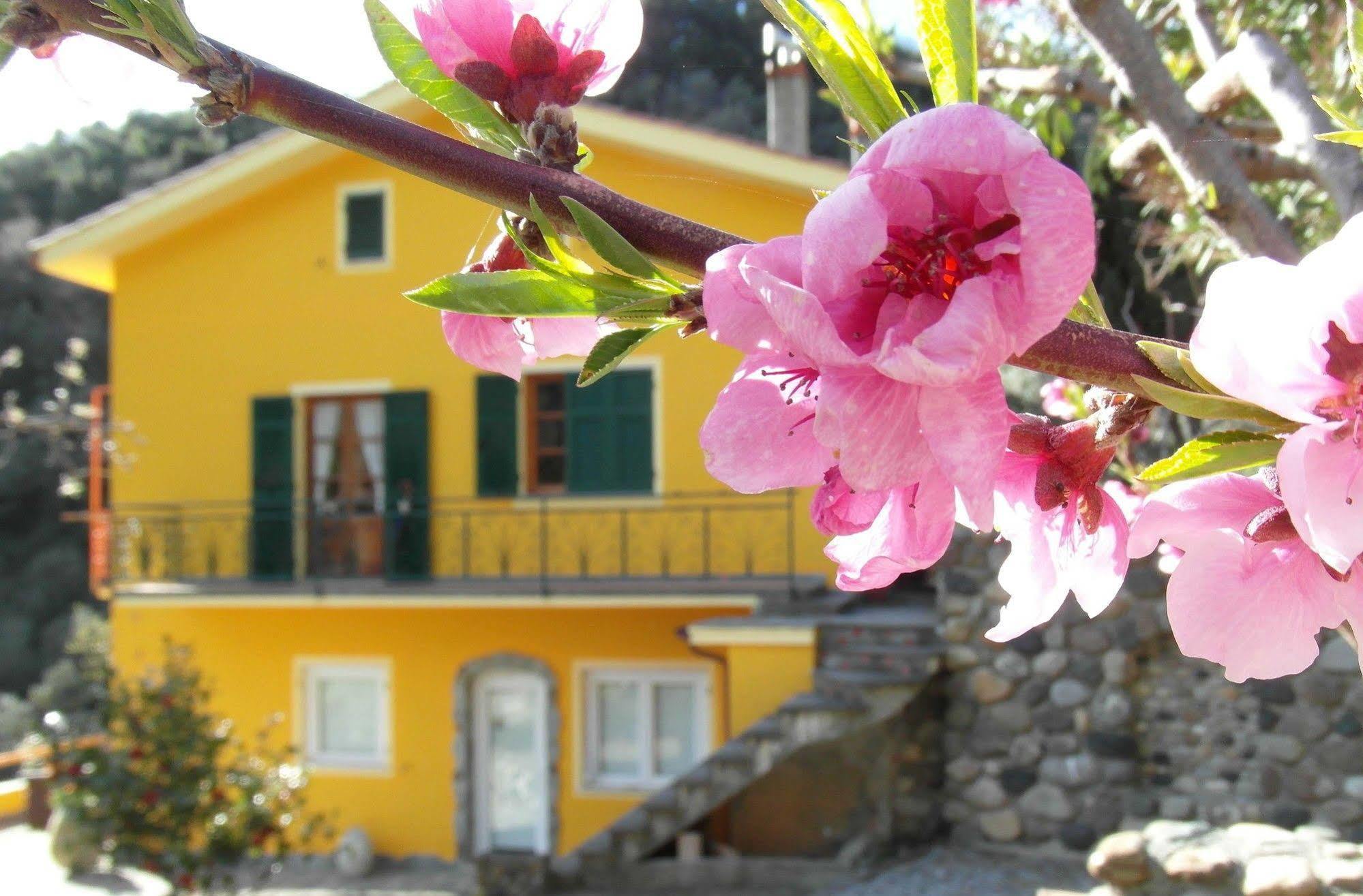 Agriturismo Costa Di Campo Vernazza Zewnętrze zdjęcie