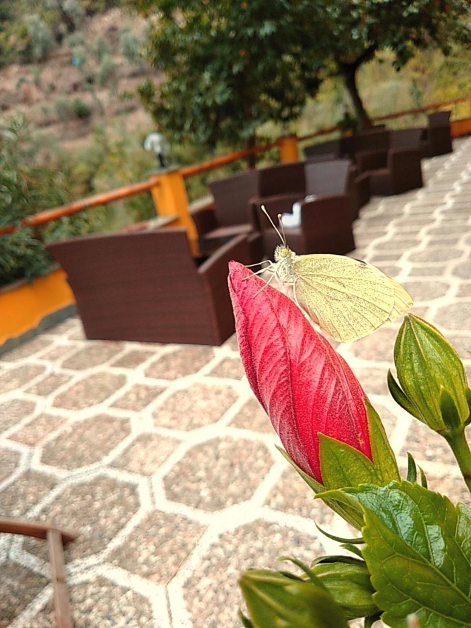 Agriturismo Costa Di Campo Vernazza Zewnętrze zdjęcie