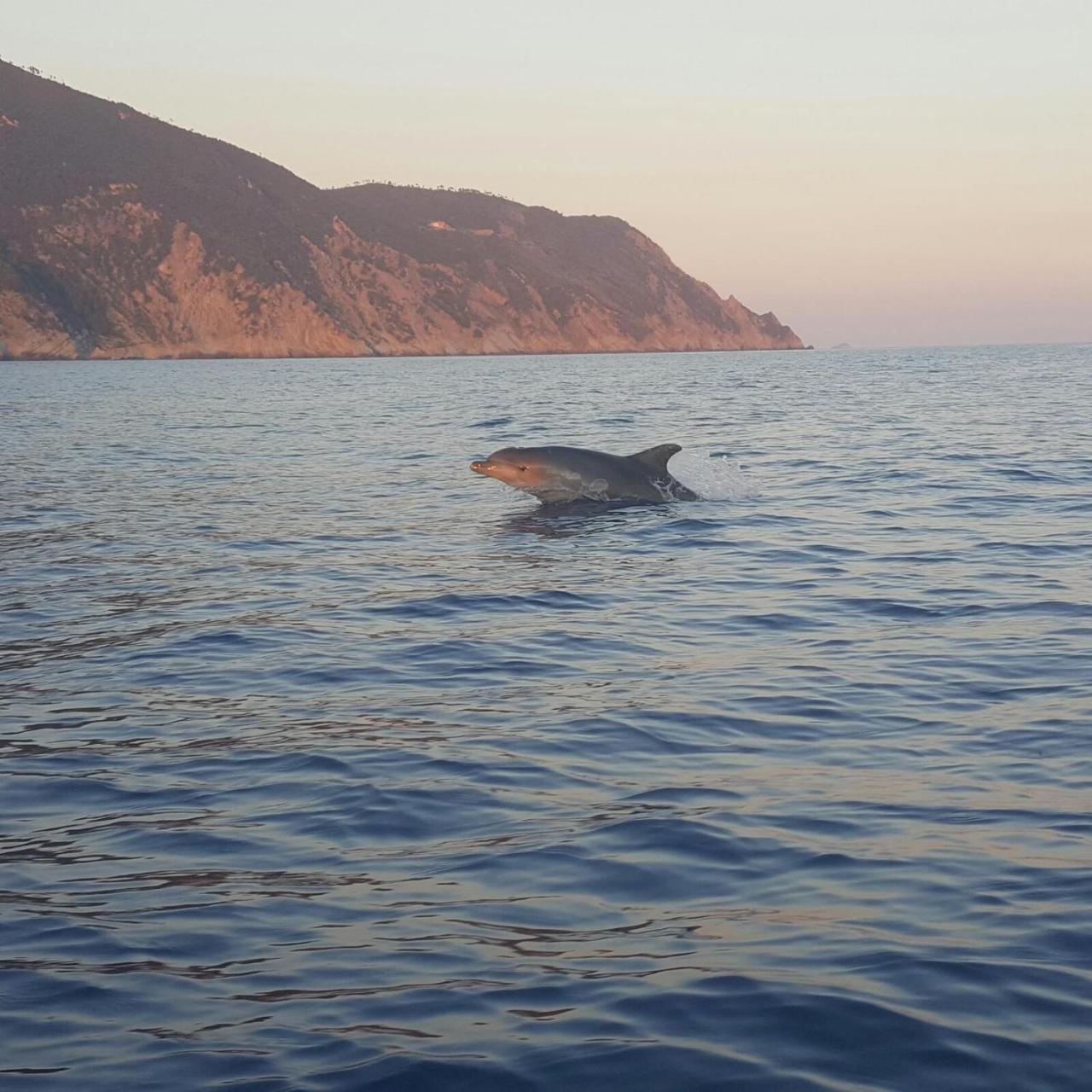 Agriturismo Costa Di Campo Vernazza Zewnętrze zdjęcie