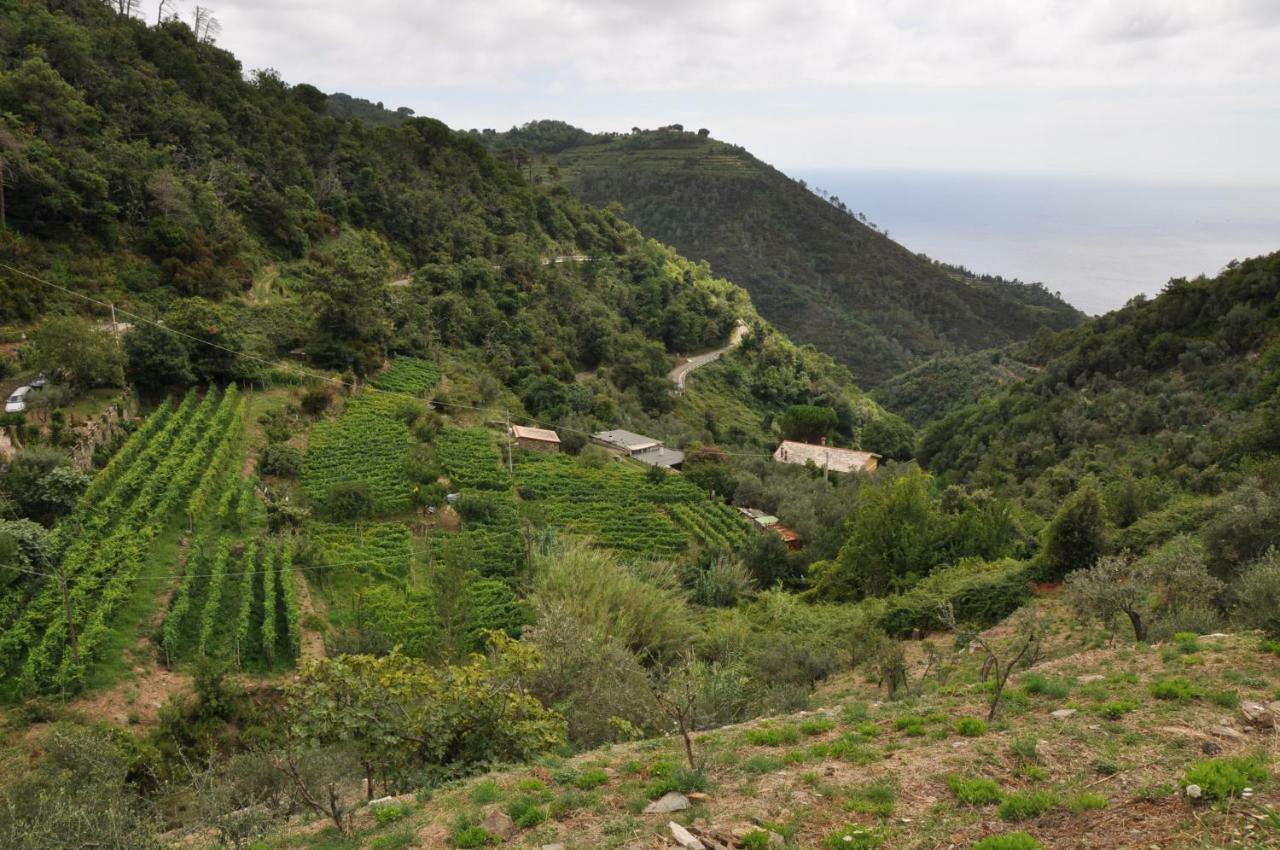 Agriturismo Costa Di Campo Vernazza Zewnętrze zdjęcie
